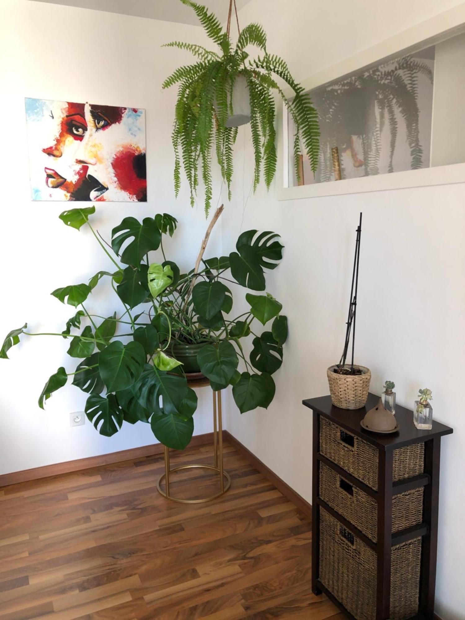 Bel Appartement Nimois Au Calme Avec Balcon Nîmes Kültér fotó